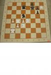 Доска шахматная демонстрационная складная